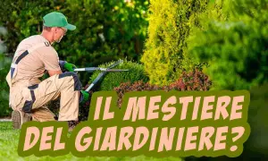 Un giardiniere pota cespugli in un giardino lussureggiante. Scopri quanto guadagna un giardiniere.