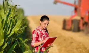Giovane agronomo annota dati sul campo di mais, mentre un mietitrebbia lavora sullo sfondo.