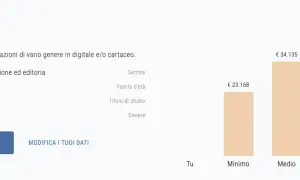 Grafico mostra quanto guadagna un graphic designer: minimo €23.168, medio €34.135, massimo €46.678.