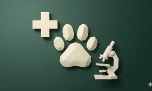 Simboli di cura e scienza: croce, zampa, microscopio. Un'ispirazione visiva per chi vuole capire come diventare veterinario.
