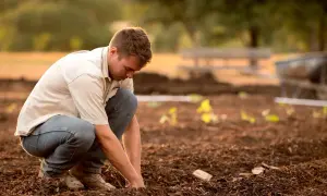 Un operaio di produzione si inginocchia in un campo, lavorando la terra con cura.