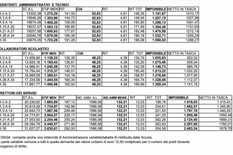 Tabelle retributive per assistenti, collaboratori scolastici e direttori dei servizi. Il junior controller cosa fa? Analizza questi dati per ottimizzare i costi.