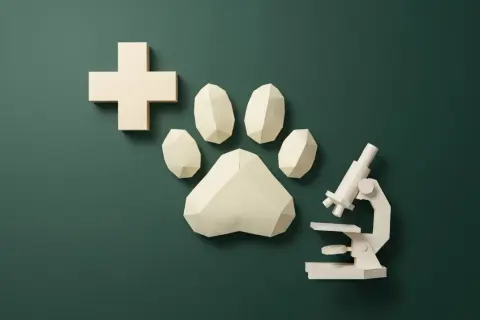 Simboli di cura e scienza: croce, zampa, microscopio. Un'ispirazione visiva per chi vuole capire come diventare veterinario.