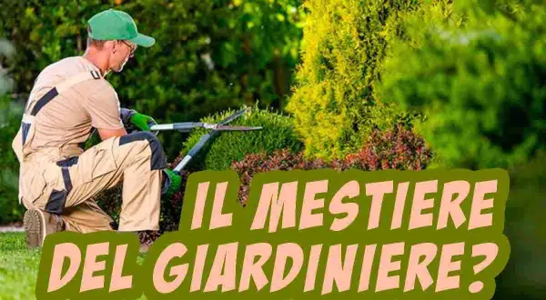 Un giardiniere pota cespugli in un giardino lussureggiante. Scopri quanto guadagna un giardiniere.