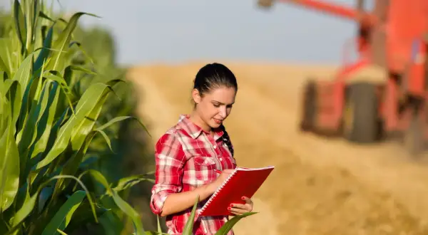 Giovane agronomo annota dati sul campo di mais, mentre un mietitrebbia lavora sullo sfondo.