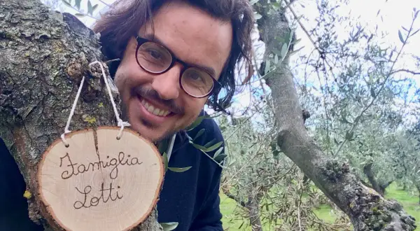 Il proprietario del b&b cerca personale. Sorride tra gli ulivi, con un cartello "Famiglia Lotti" appeso a un ramo.