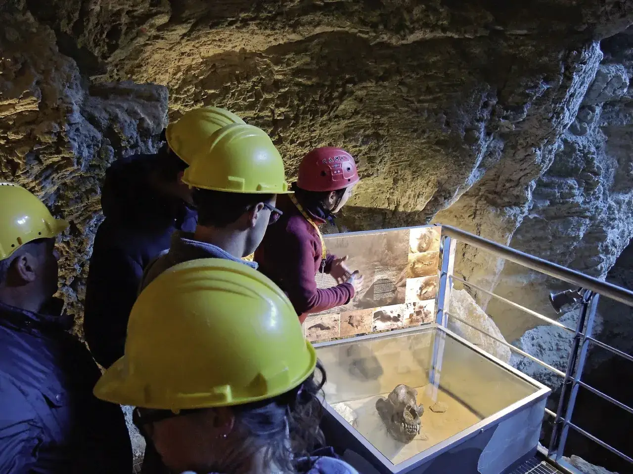 Un gruppo di persone con caschi gialli osserva un teschio di orso in una teca, mentre un pannello illustra cosa studia un geologo.
