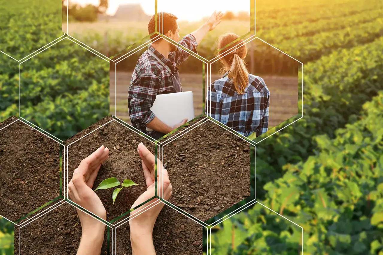 Un agronomo cosa fa? Studia il terreno, cura le piantine e pianifica il raccolto con un collega, usando la tecnologia.