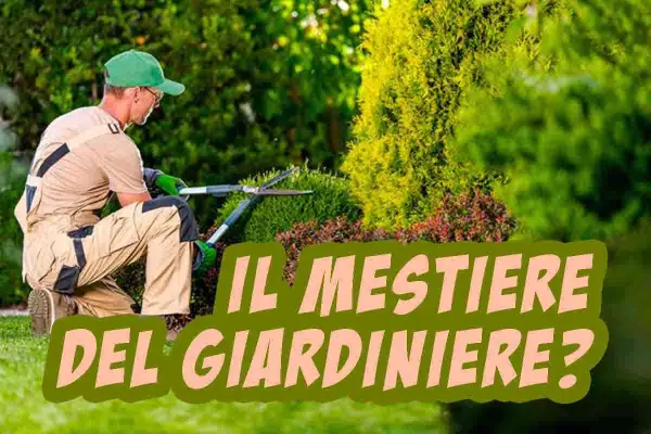 Un giardiniere pota cespugli in un giardino lussureggiante. Scopri quanto guadagna un giardiniere.